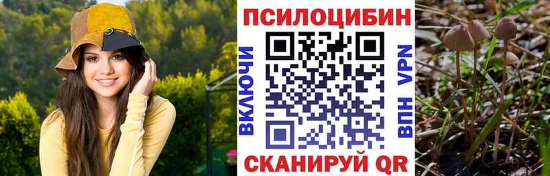 Галлюциногенные грибы ЛСД  где найти   Брянск 