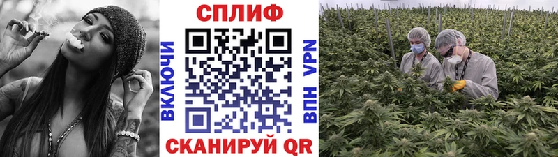 наркошоп  Брянск  Бошки Шишки Bruce Banner 